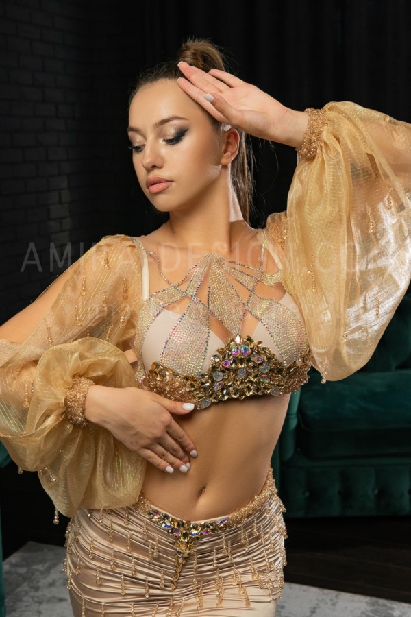 Professional bellydance costume (Classic 254 A_1)